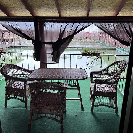 біля озера *